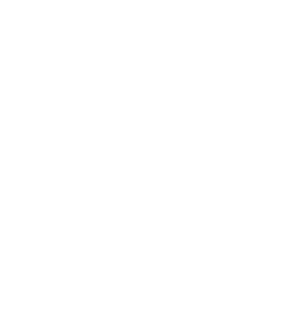 Bug fixed model gri închis pe tricou