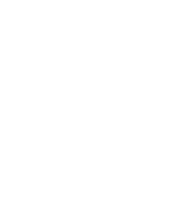 Mr 2 model negru pe tricou