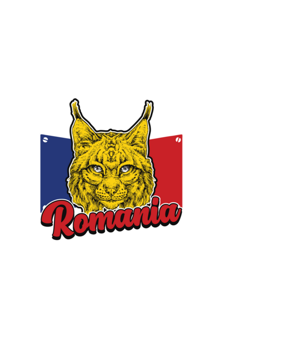 Legends are born in România december model negru pe tricou