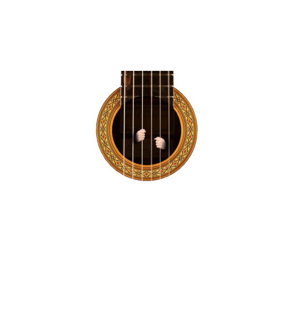 Guitar prison model negru pe tricou