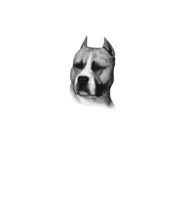 Staffordshire Terrier model alb pe tricou