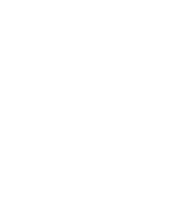 Krav Maga model alb pe tricou