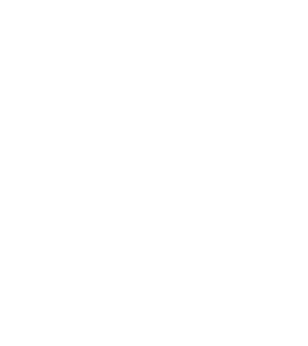 Dog Year - 140 model albastru regal pe tricou