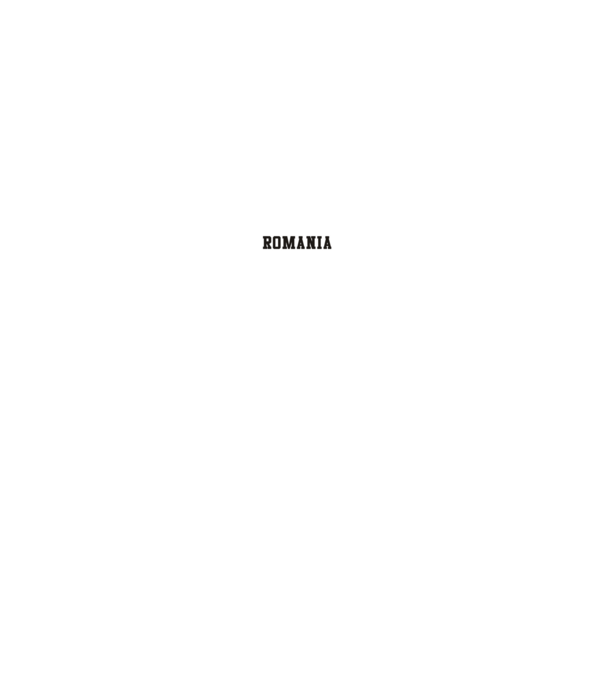 România Bucharest sport model gri pe tricou