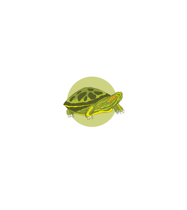 Turtle model negru pe tricou