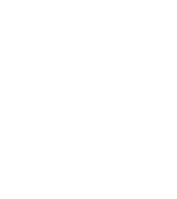 W.I.F.E. model negru pe tricou