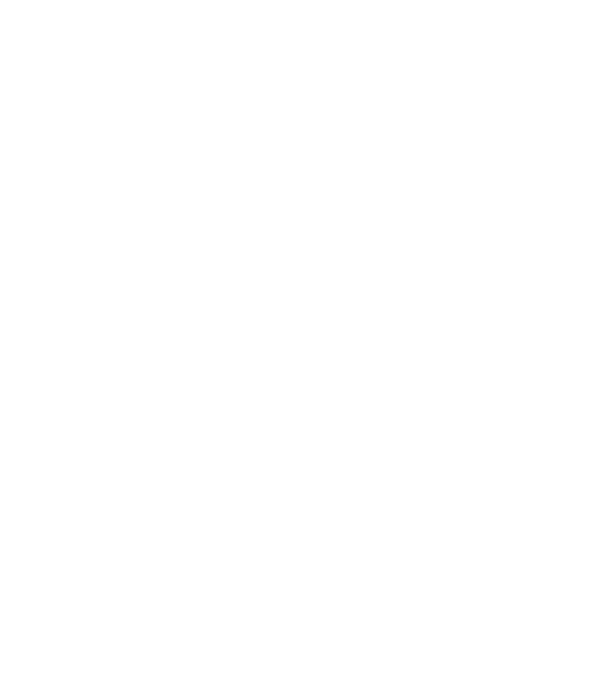 România made in model negru pe tricou