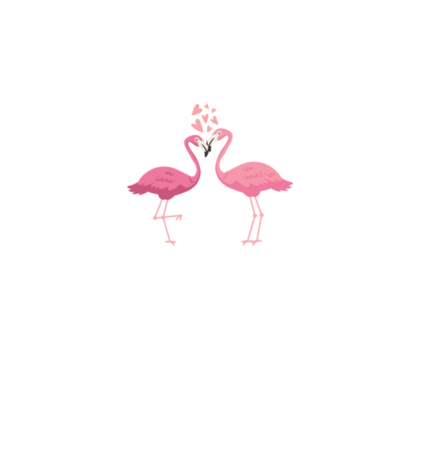 FLAMINGO ÎNDRĂGOSTIȚI model alb pe tricou