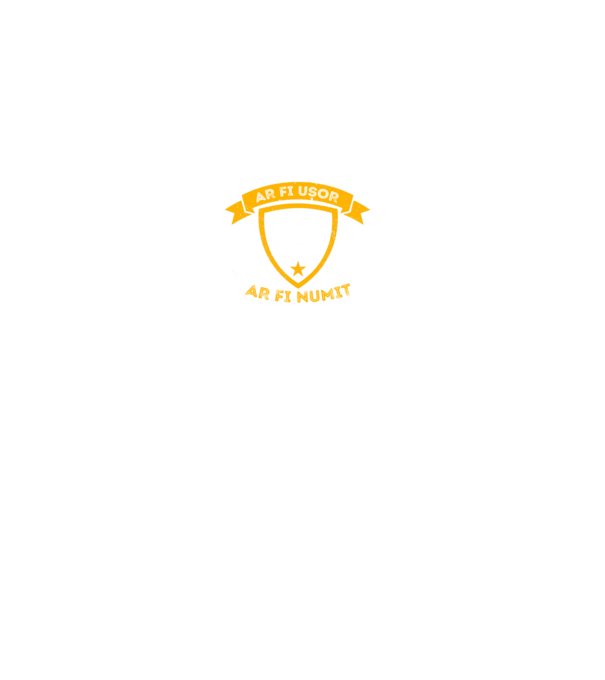 Dacă călăritul ar fi ușor ar fi numit fotbal model gri pe tricou