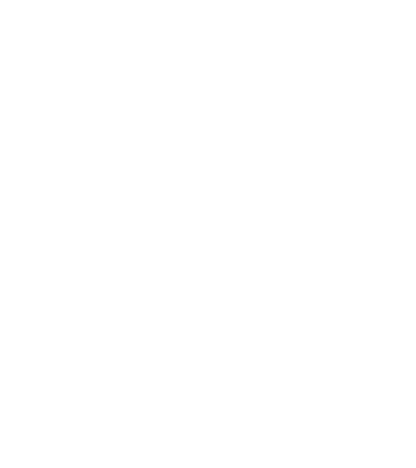 Mr 1 model negru pe tricou