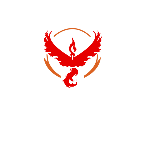 Valor team logo model alb pe tricou