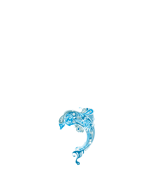 delfin model alb pe tricou