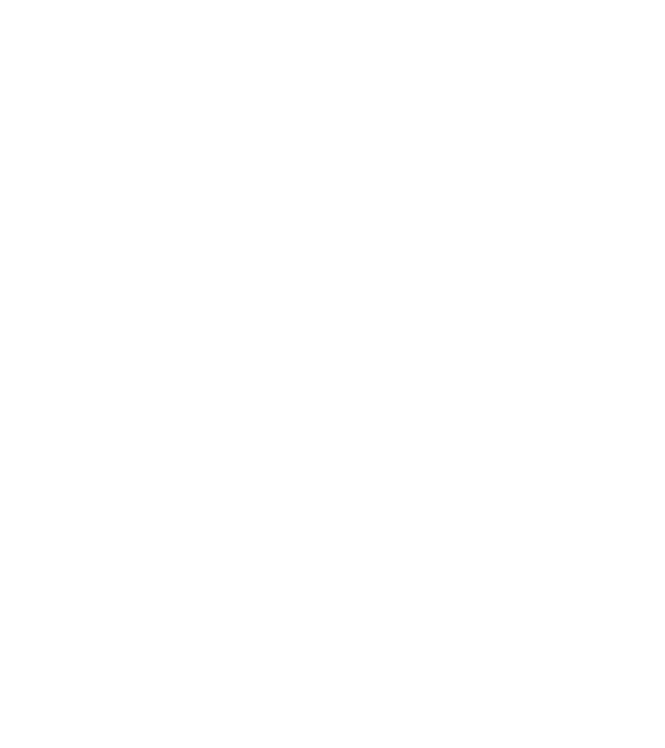 Mr. model negru pe tricou