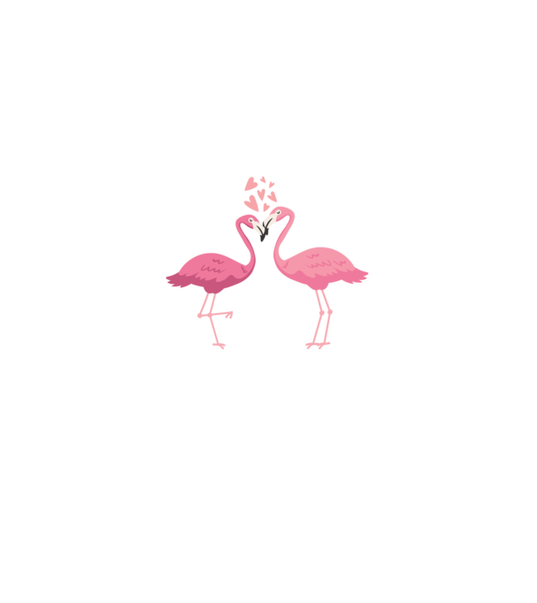 FLAMINGO ÎNDRĂGOSTIȚI model alb pe tricou