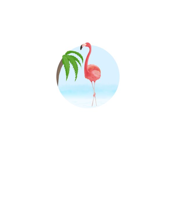 Flamingo model alb pe tricou