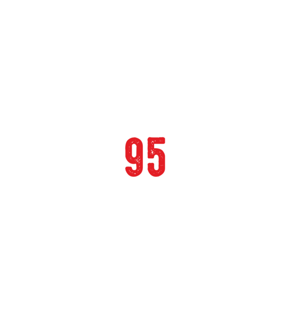 Purtătorul acestui tricou a împlinit: 95 de ani model negru pe tricou