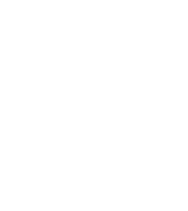 I do my own stunts model negru pe tricou