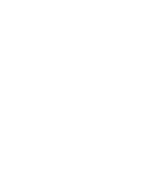 LOVE Havanese model negru pe tricou