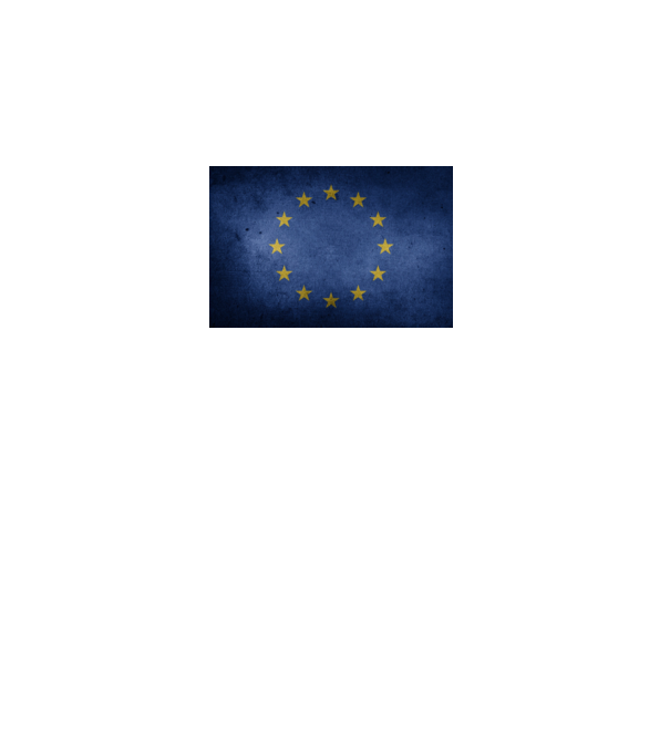EU model gri închis pe tricou