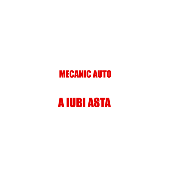 Sunt suficient de priceput pentru a fi MECANIC AUTO și suficient de nebun pentru a iubi asta model gri pe tricou