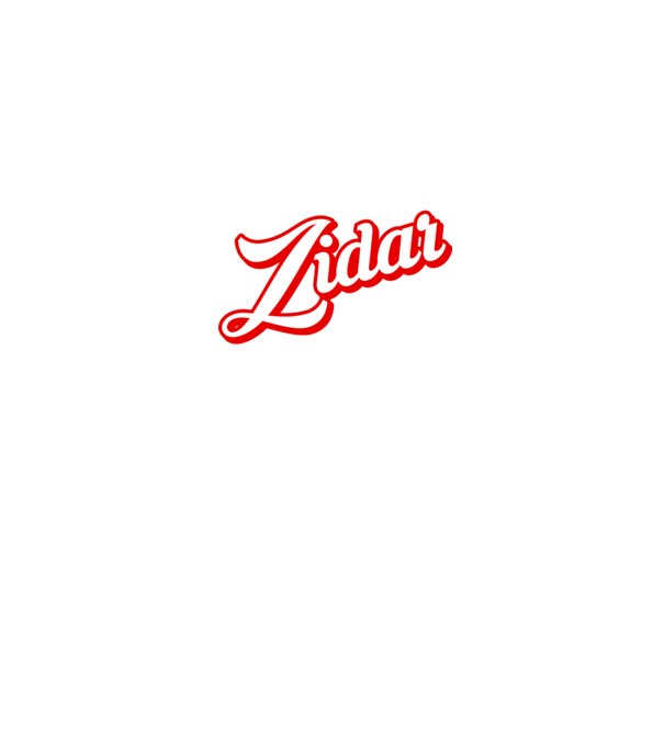 Cel mai bun ZIDAR din lume model negru pe tricou