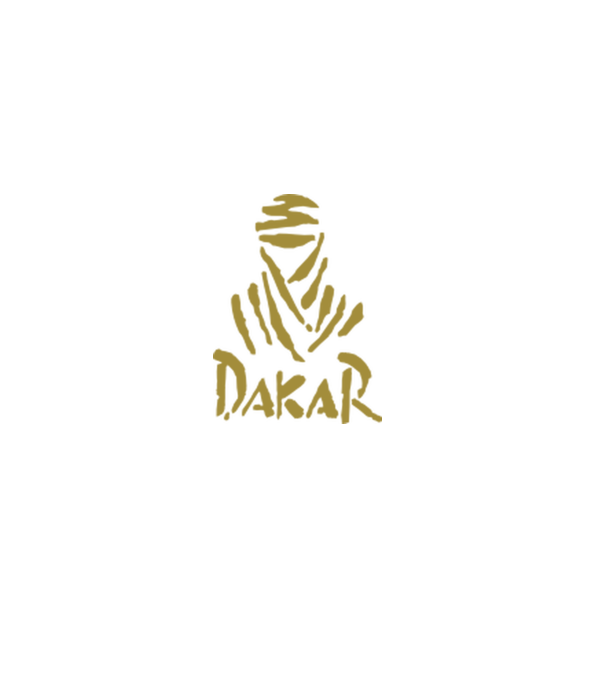 Dakar Rally model gri pe tricou