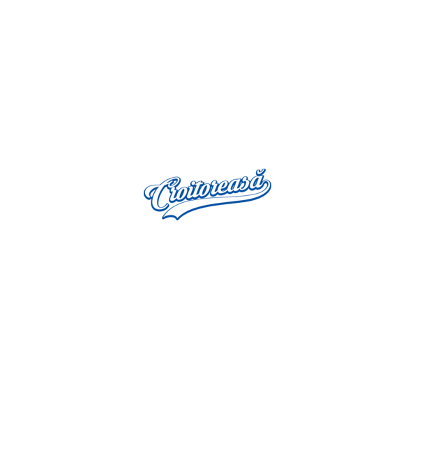 Cea mai bună croitoreasă din lume model gri pe tricou