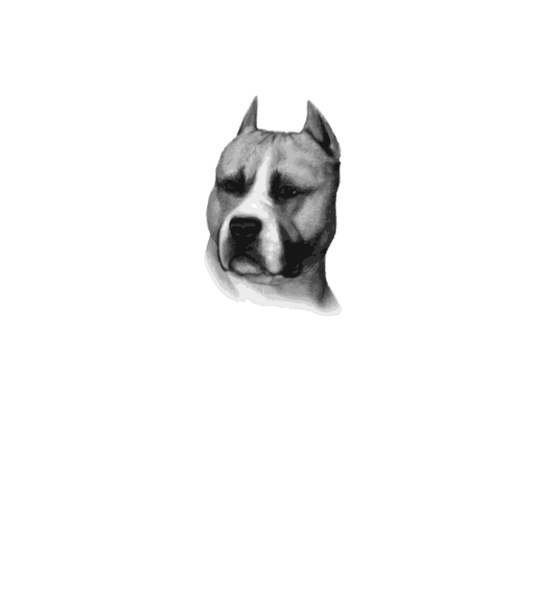 Staffordshire Terrier model alb pe tricou
