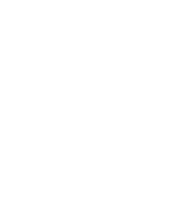 România made in model negru pe tricou