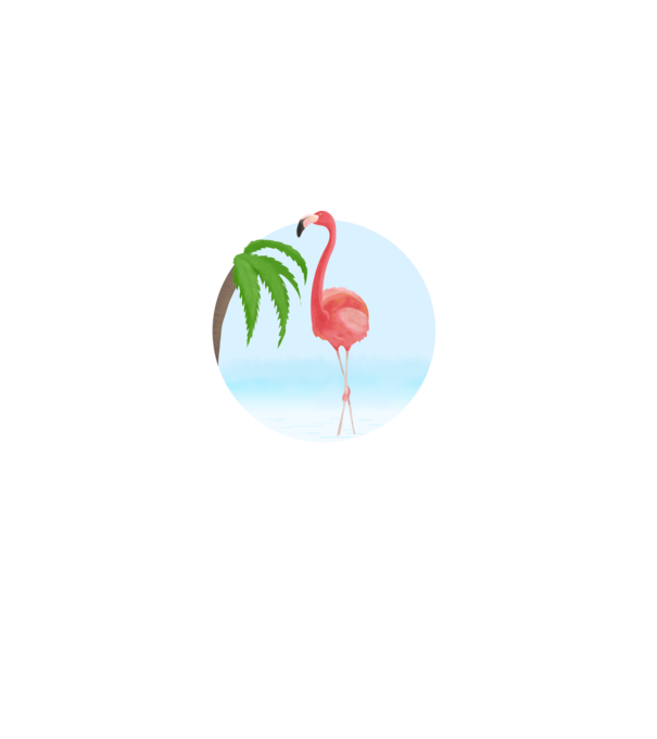 Flamingo model alb pe tricou