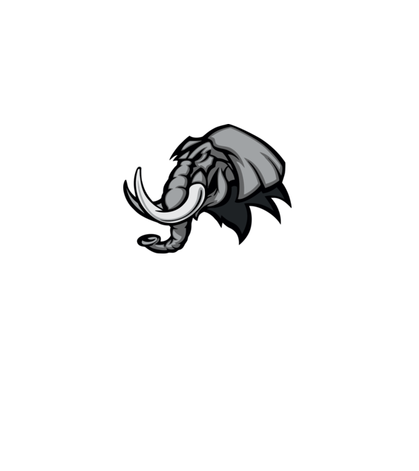 Elephant model gri pe tricou