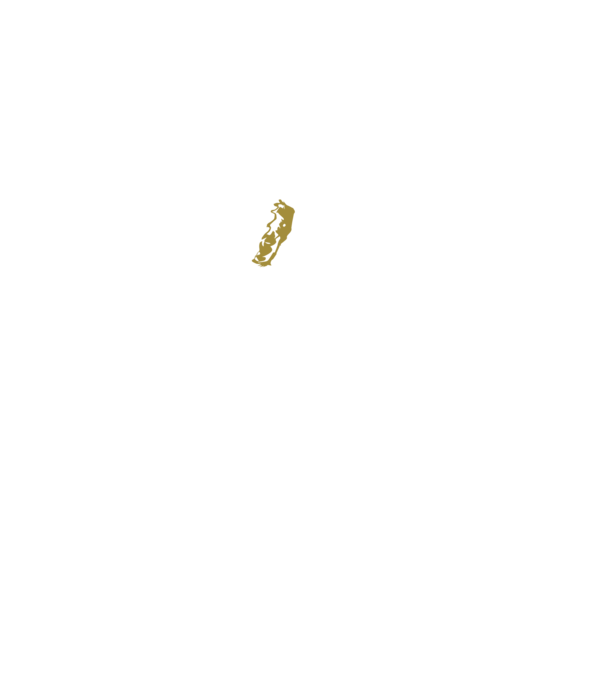 King in the north 2c model negru pe tricou
