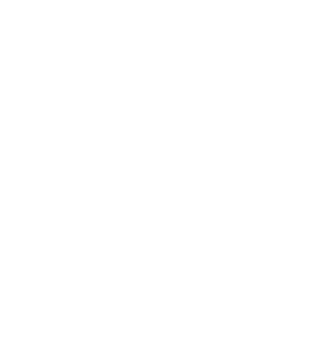 Motiv cuplu The REAL Boss model gri pe tricou