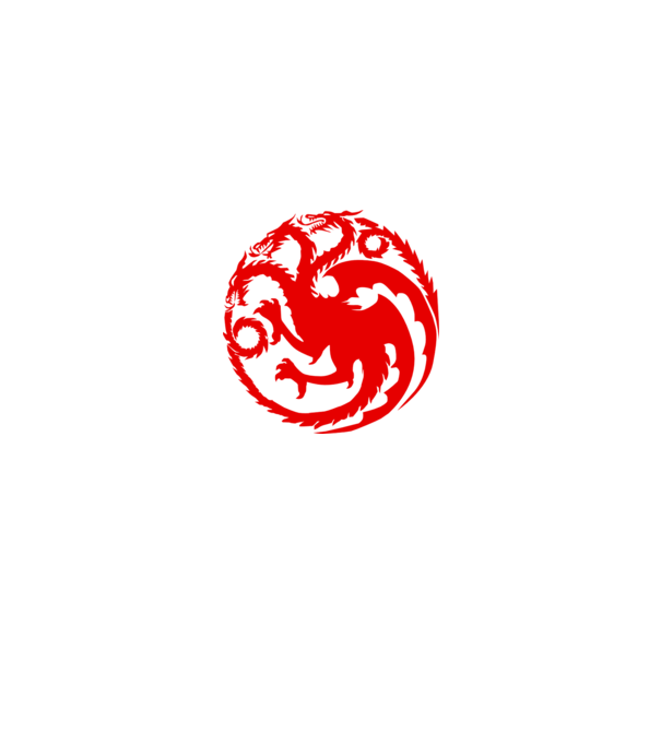 Targaryen model gri pe tricou