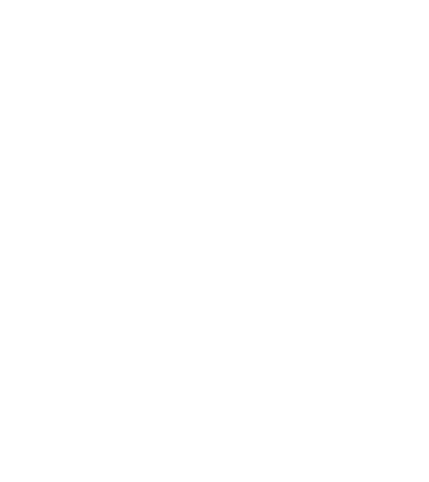 I do my own stunts model negru pe tricou