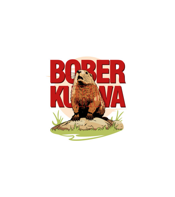 BOBER model alb pe tricou