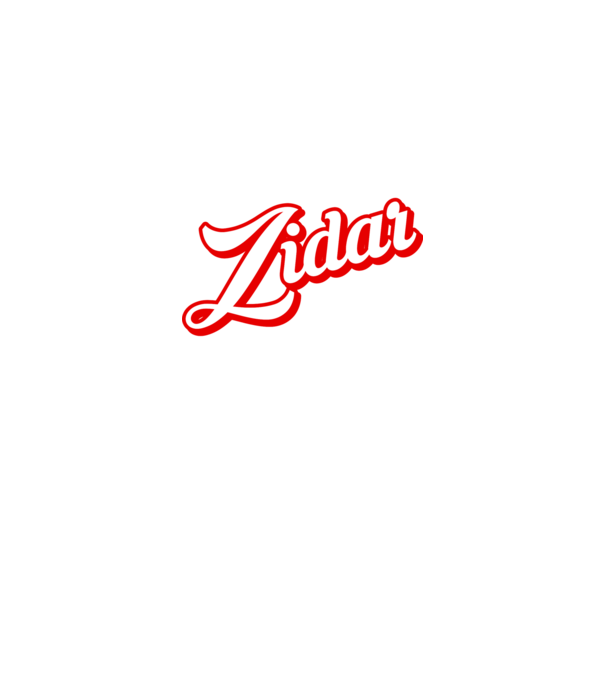 Cel mai bun ZIDAR din lume model negru pe tricou