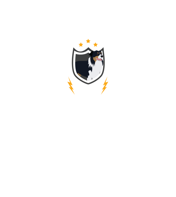 serviciu de securitate - securitate - persistență - 24 de ore pe zi model negru pe tricou