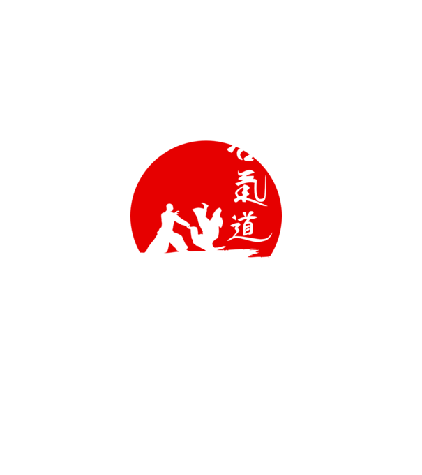 Aikido model negru pe tricou