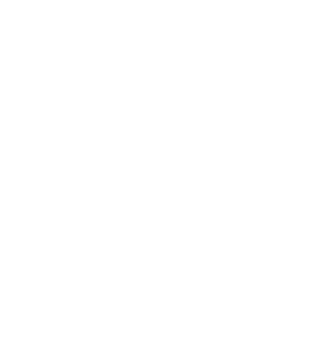 nimeni nu e perfect, dar stăpânii de staffordshire terrier sunt foarte aproape model negru pe tricou