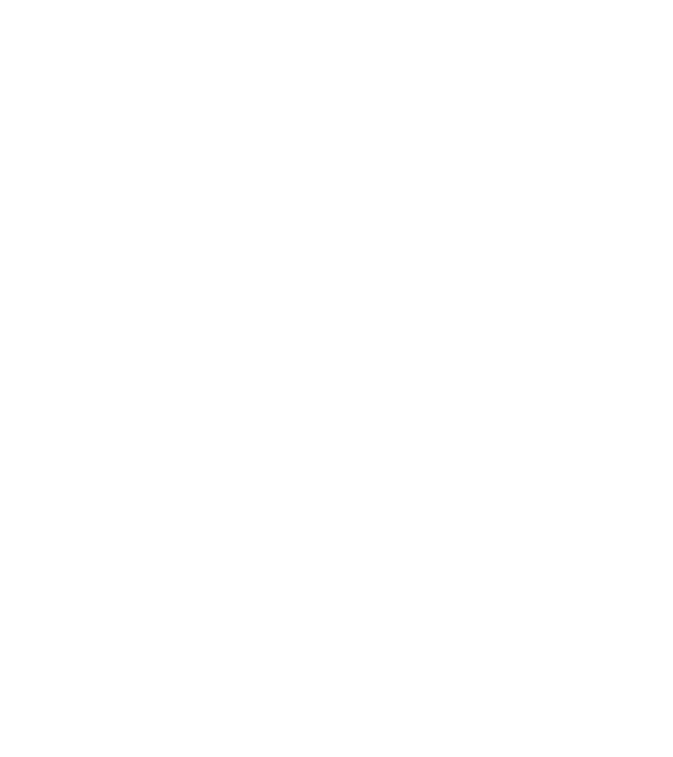 I do my own stunts model negru pe tricou