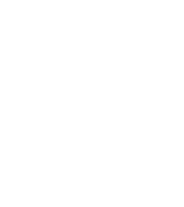 Feminist model negru pe tricou