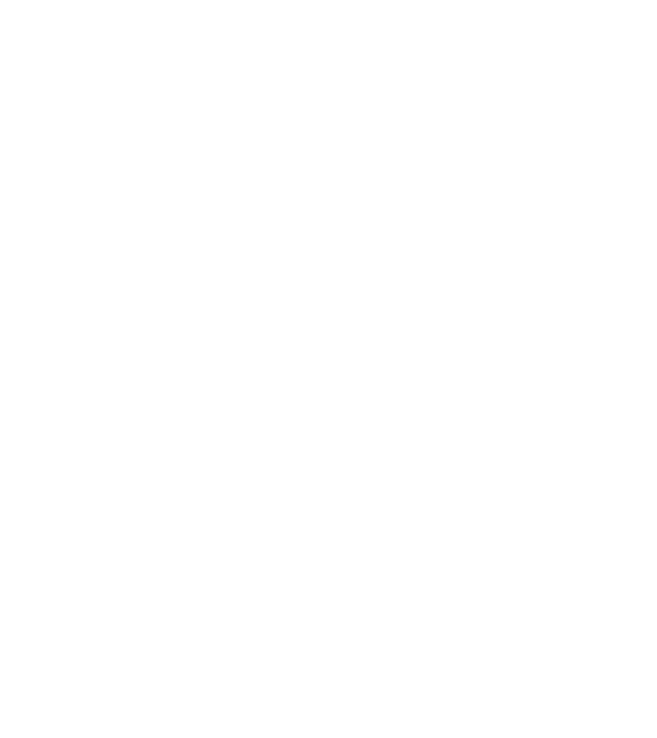 Bug fixed model negru pe tricou