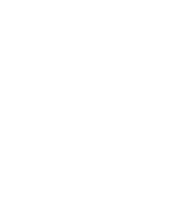 Felicitări pentru locul 1 în competiția Cea mai bună bunică! model albastru jeanși pe tricou