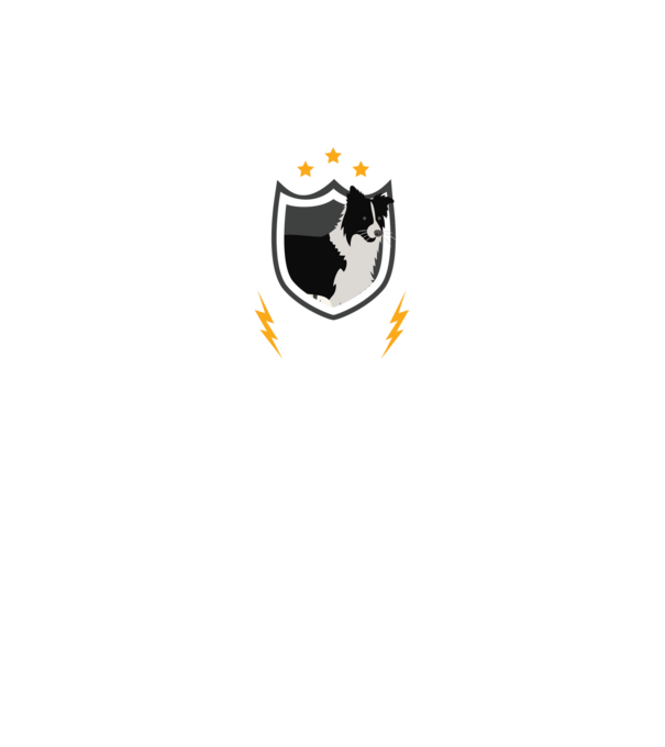 serviciu de securitate - securitate - persistență - 24 de ore pe zi model negru pe tricou