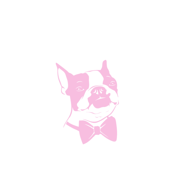 Boston Terrier model alb pe tricou