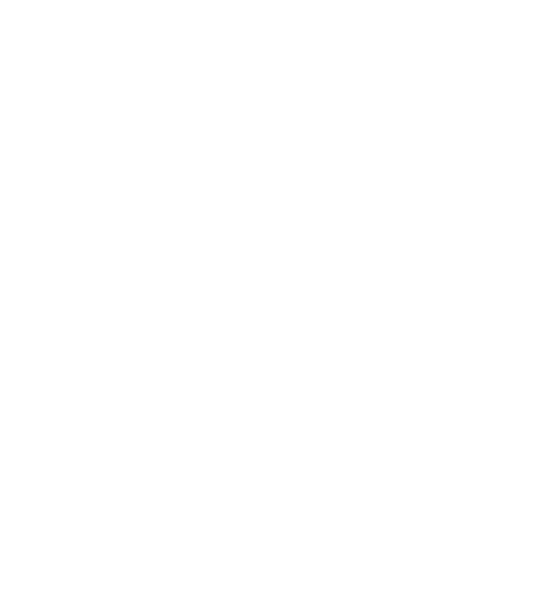 Crazy Cat Ladies are born in November model negru pe tricou