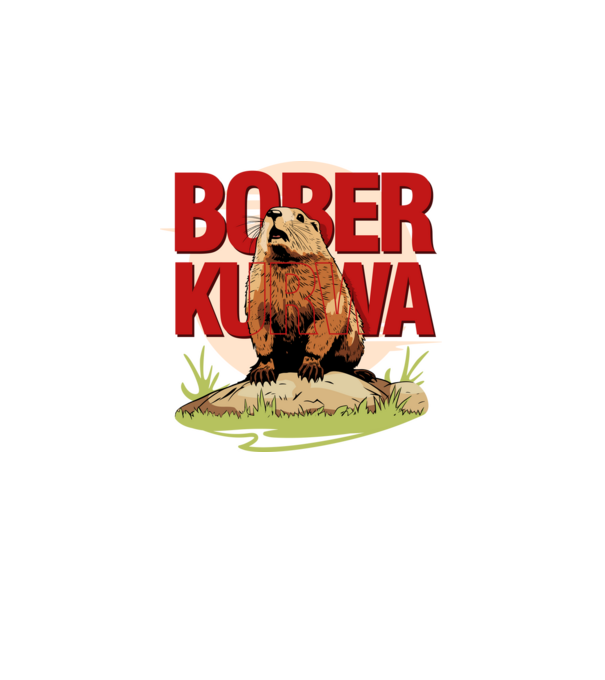 BOBER model alb pe tricou