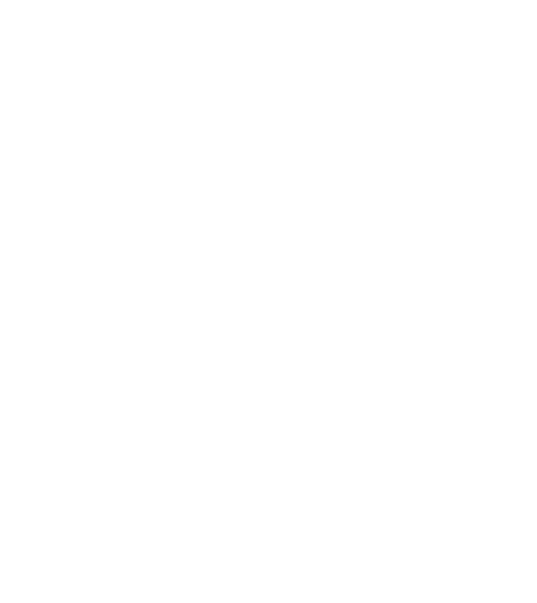 România made in model negru pe tricou