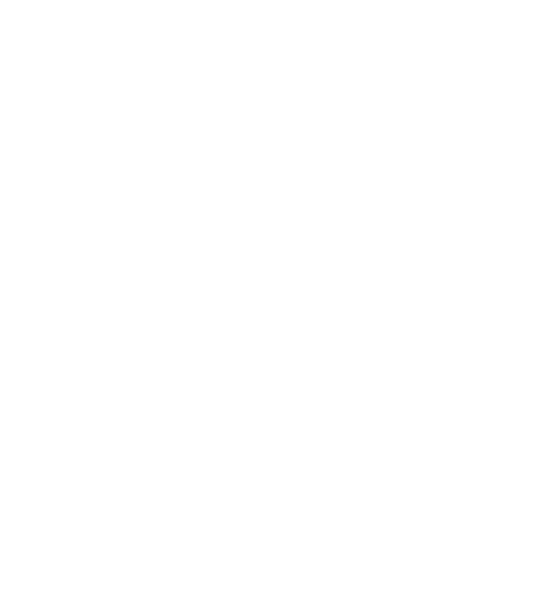 avion model negru pe tricou